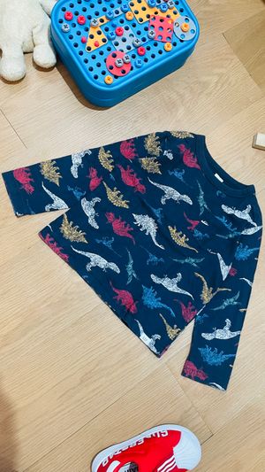 GAP Dinosaurs Long Sleeves 2 Years