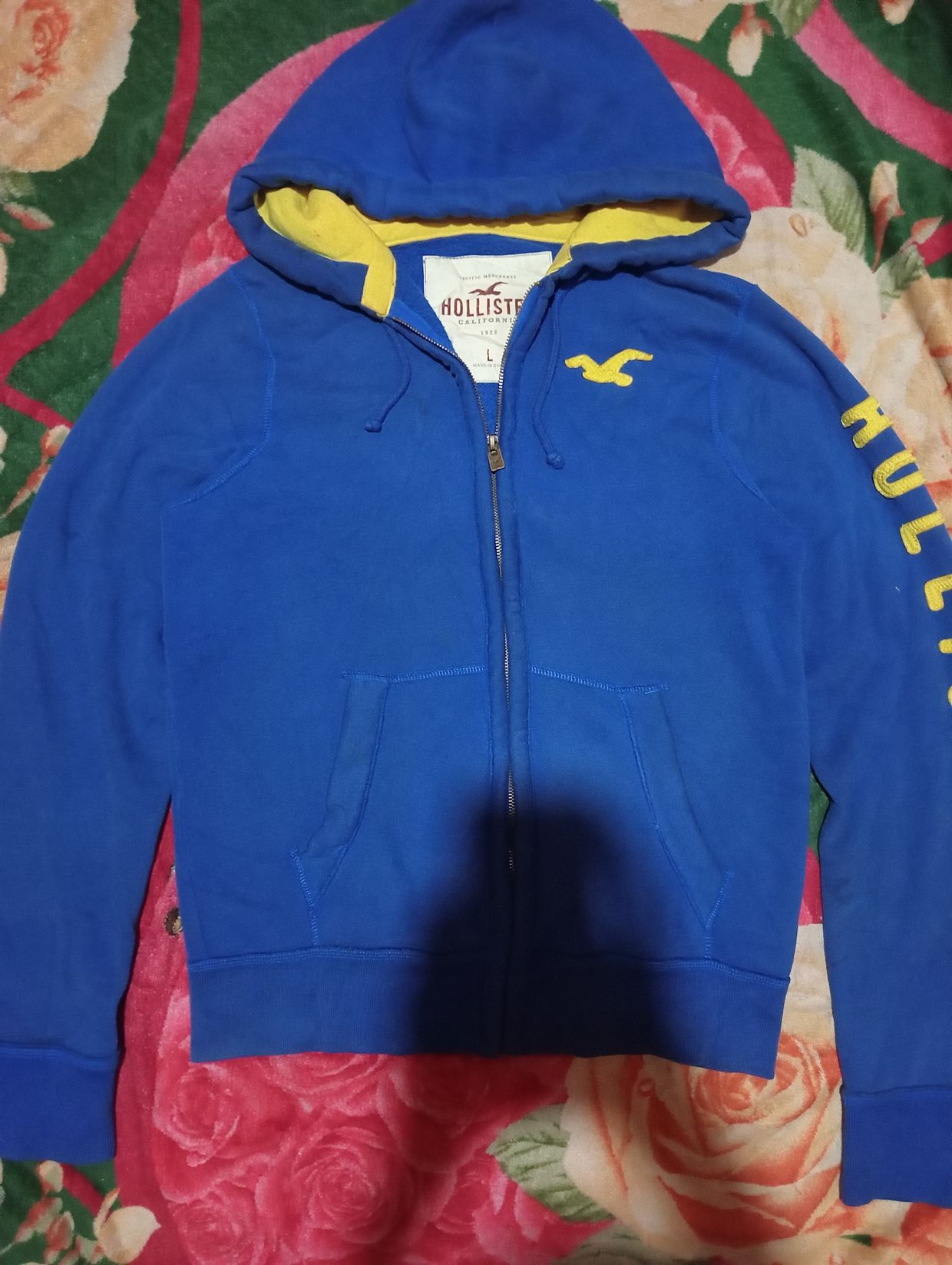 Hollister Avant Garde Sweater Pria blue