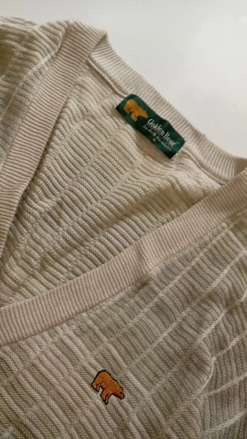 cardigan golden bear, foto 2