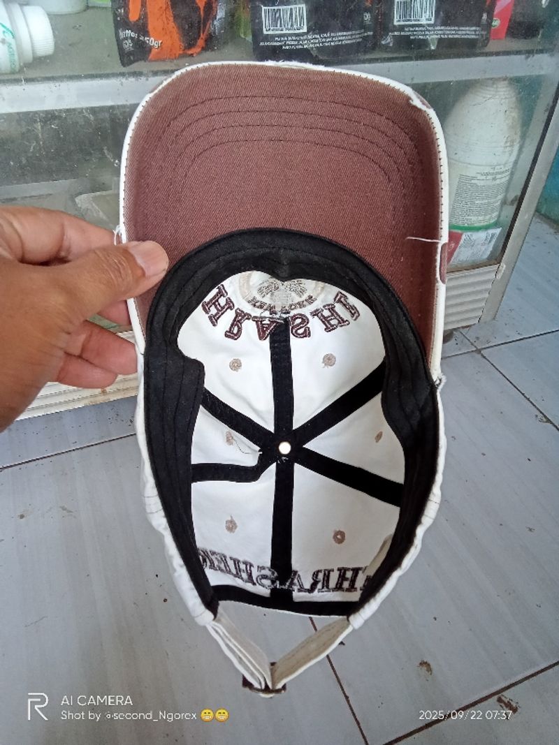 Topi thrasher, foto 5