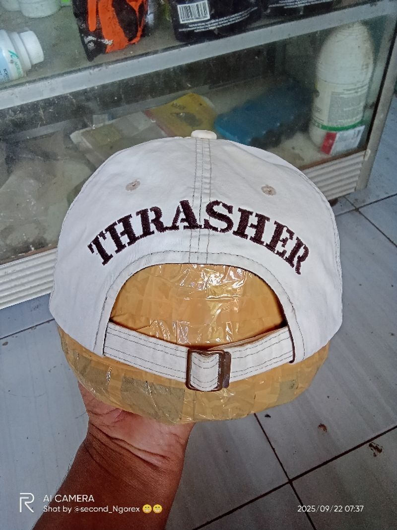 Topi thrasher, foto 4