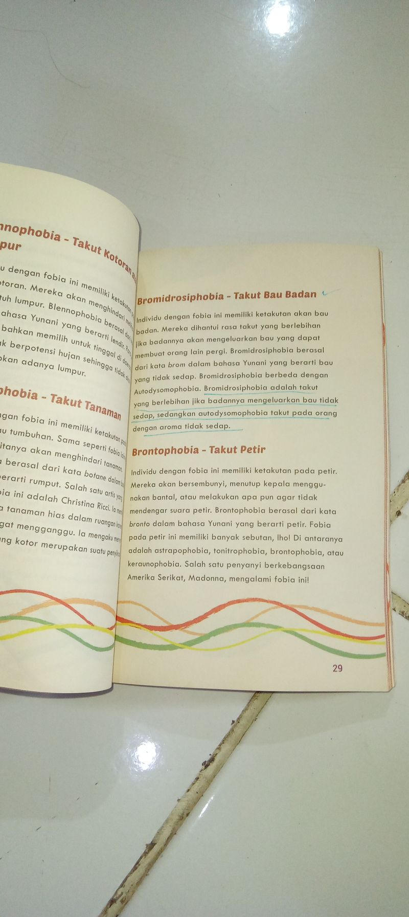 Buku Ensiklo Phobia, foto 3