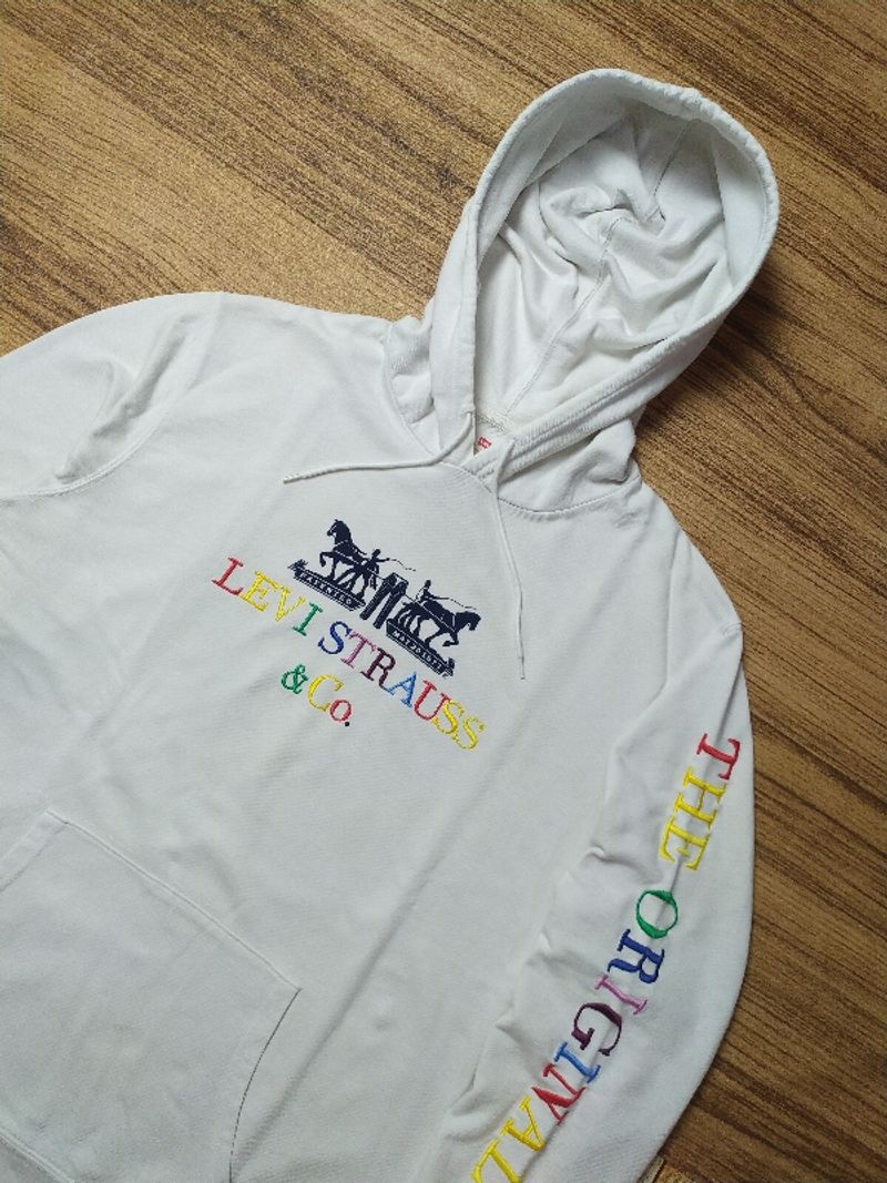 Levi's Multicolor Spell Out Hoodie, foto 2