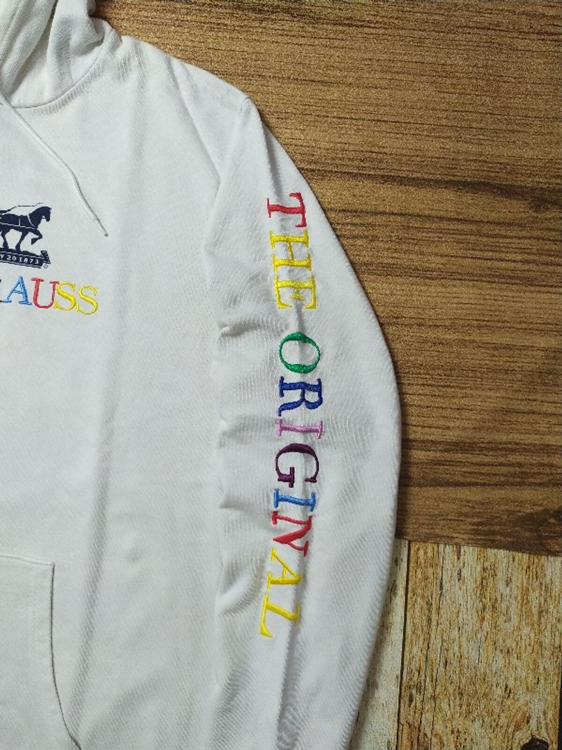 Levi's Multicolor Spell Out Hoodie, foto 3