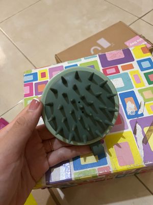 Head brush