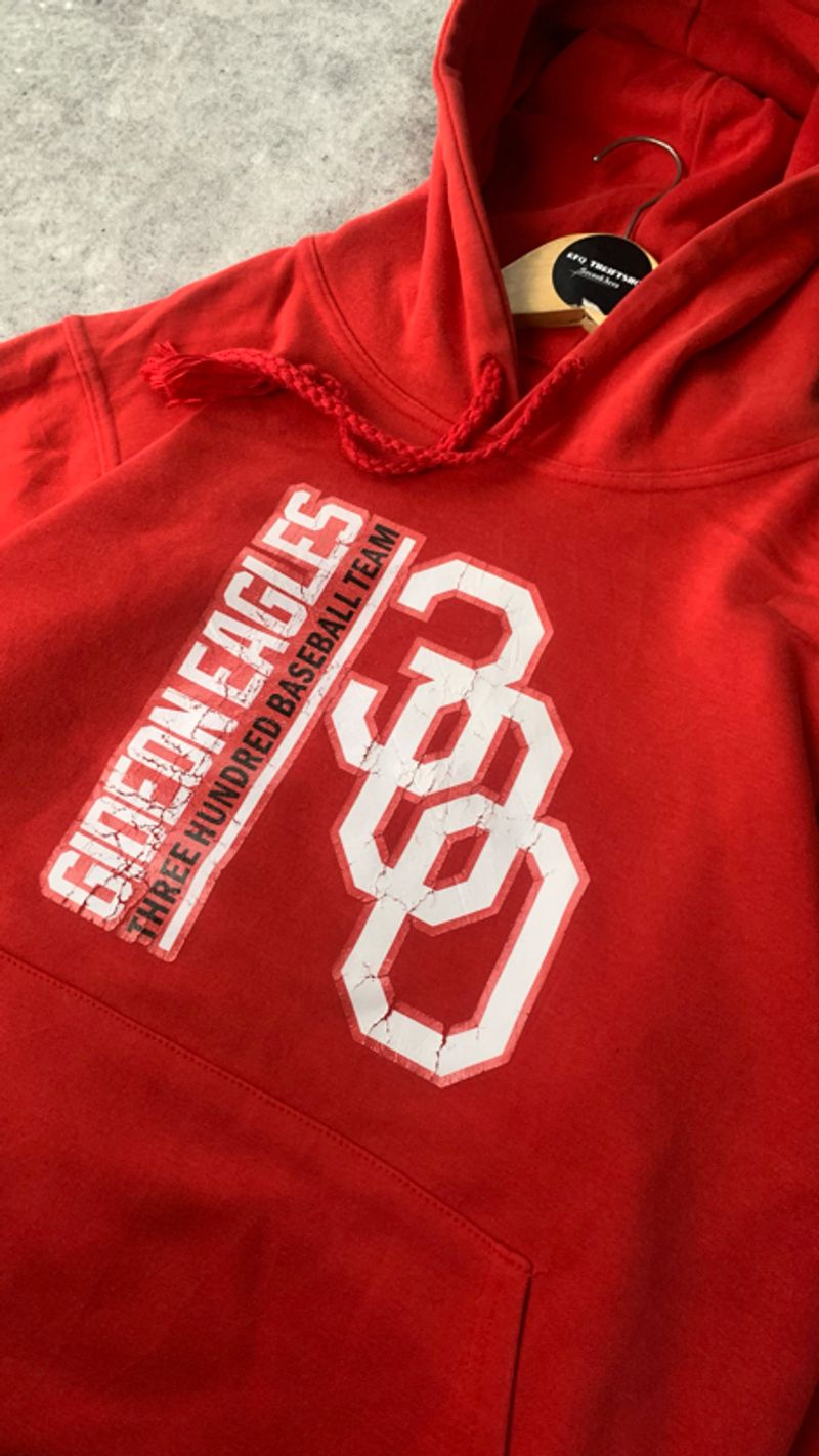 Hoodie Gideon eagle, foto 4