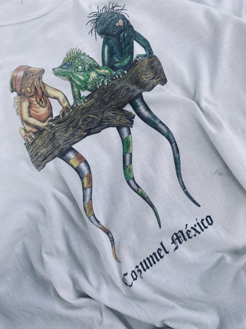 Vintage Cozumel Mexico Iguana, foto 2