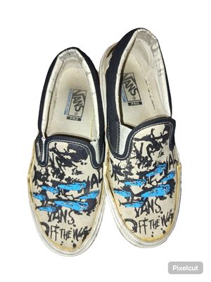 Vans slip on