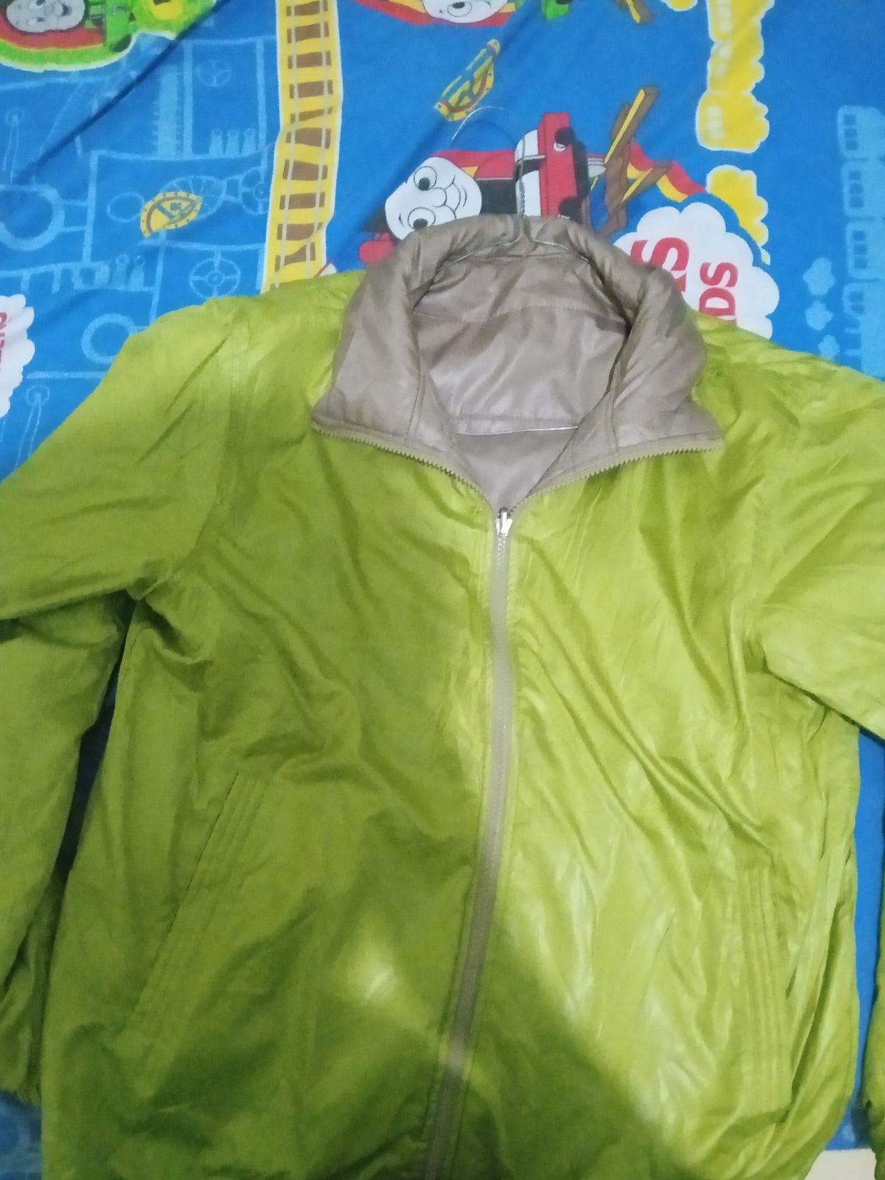 3 Second Vintage Windbreaker Pria green tan, foto 2