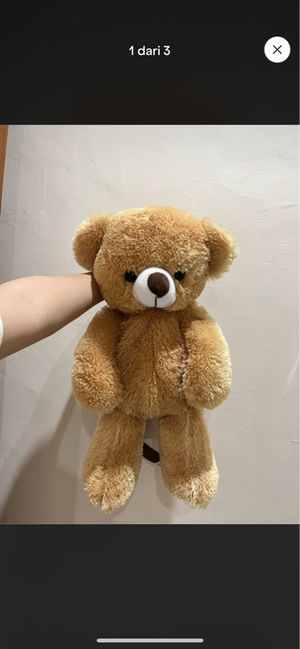 tas beruang