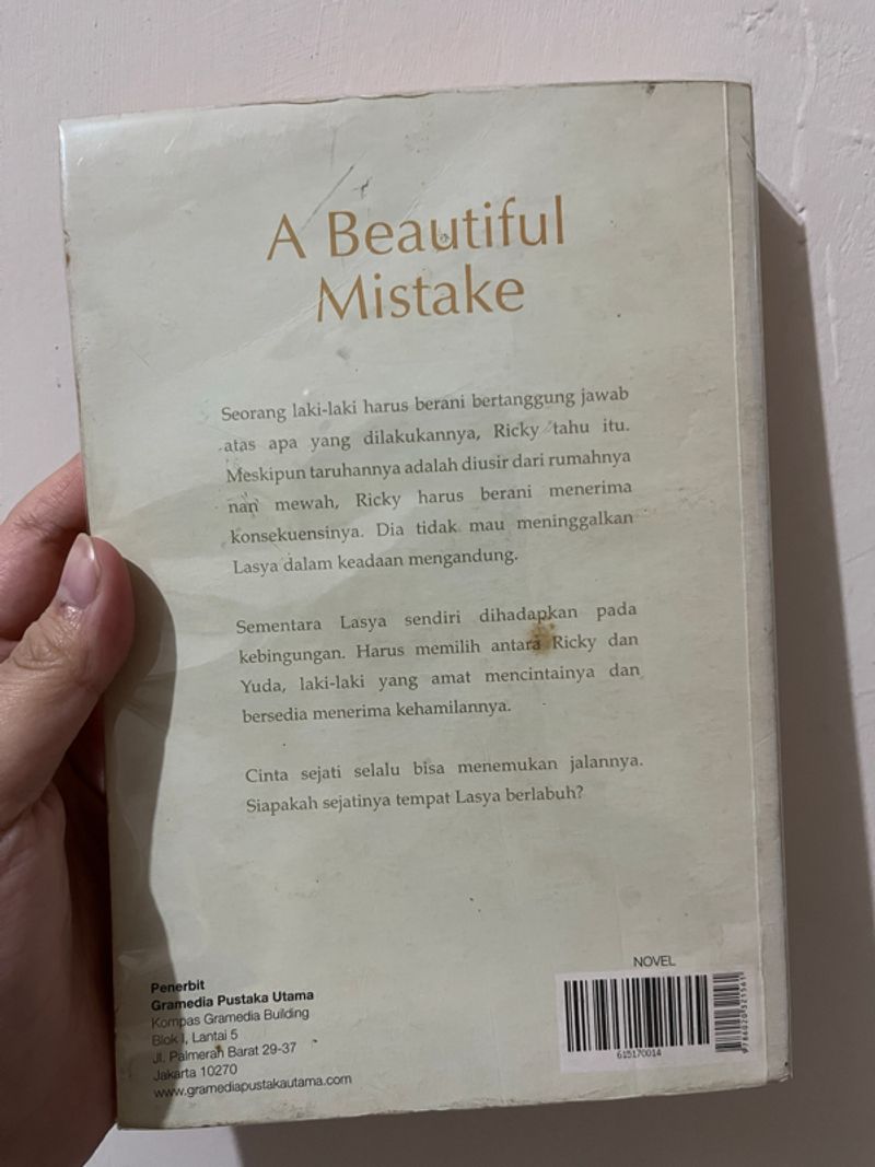 A Beautiful Mistake (Saviana Jose), foto 2