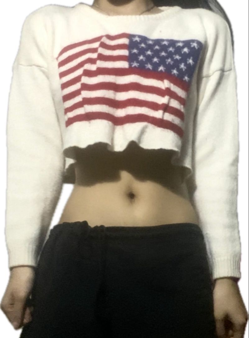 American Flag Sweater Crop (like brandy melville's), foto 2