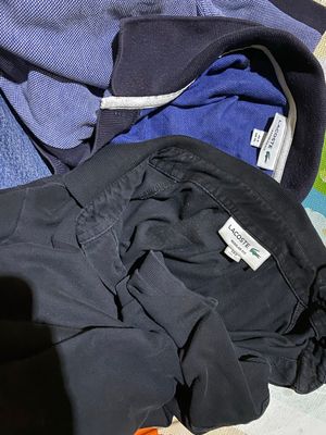 polo lacoste