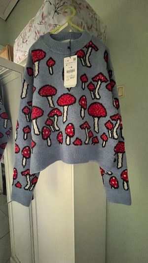 BNWT Zara Mushroom Sweater