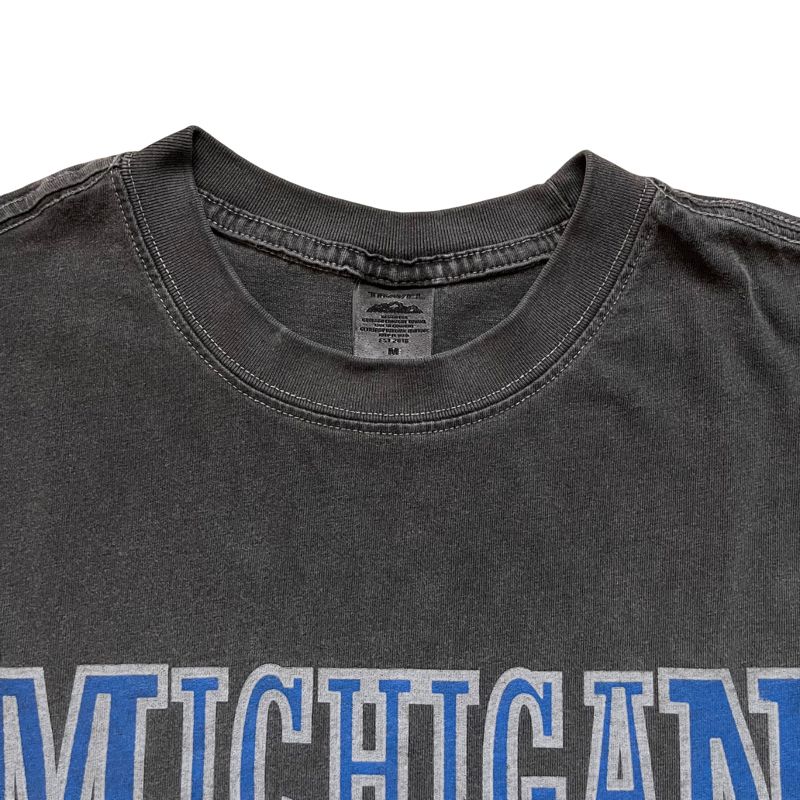 Michigan TRAVEL Tees, foto 3