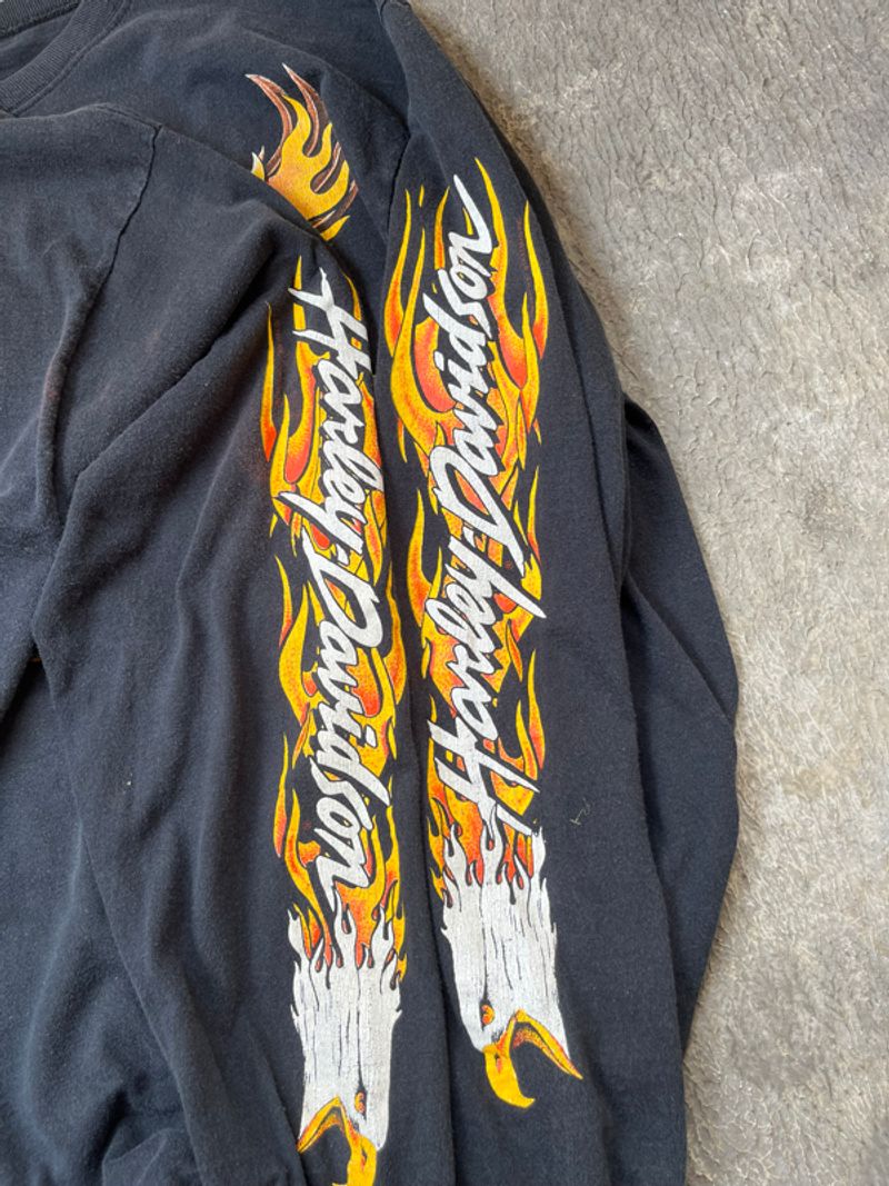 Harley davidaon Flame Eagle, foto 5