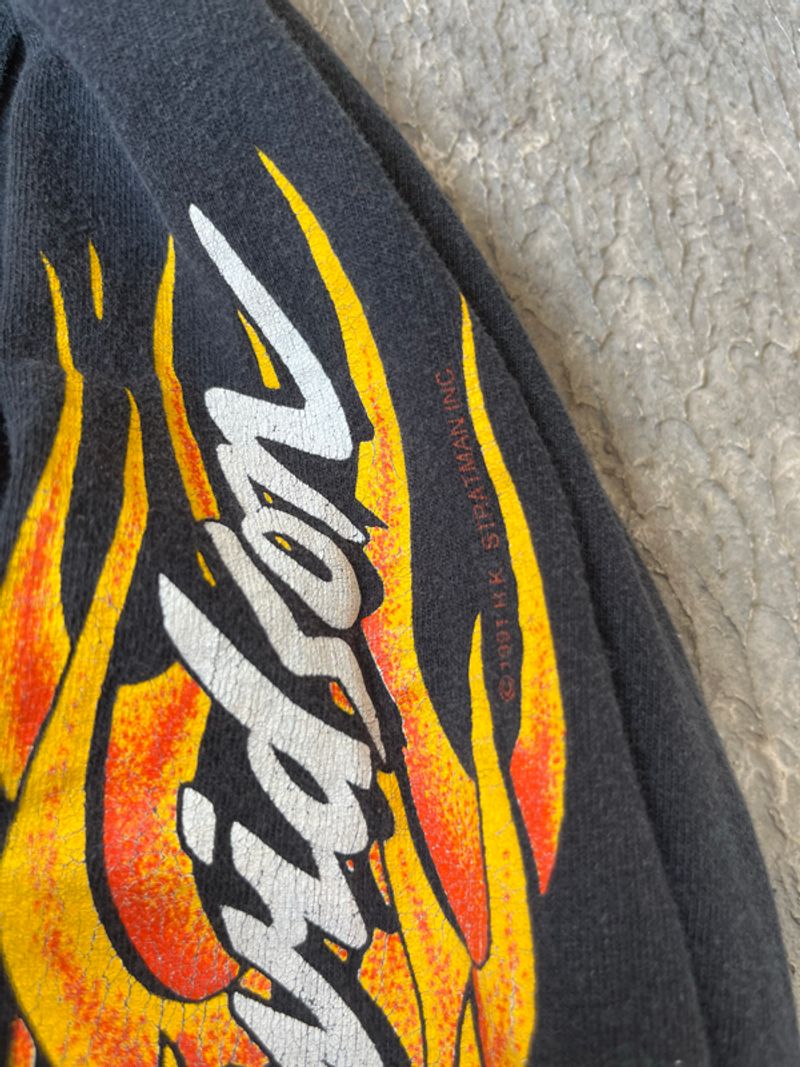 Harley davidaon Flame Eagle, foto 4