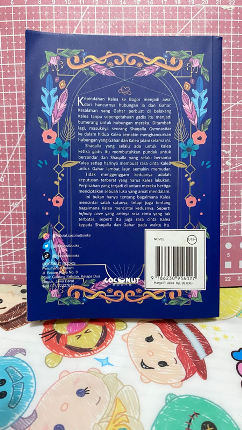Novel Infinity Love, foto 2