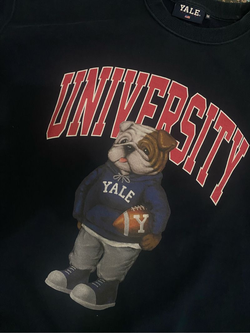 crewneck yale university, foto 2