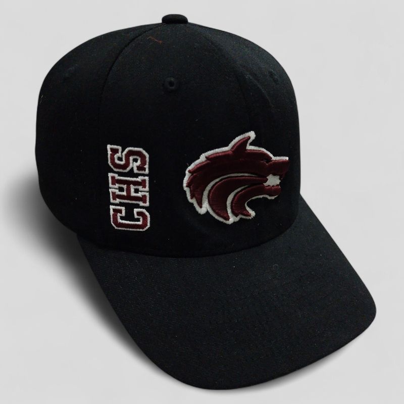 Topi Baseball Northern illinois CHS Richardson, foto 3