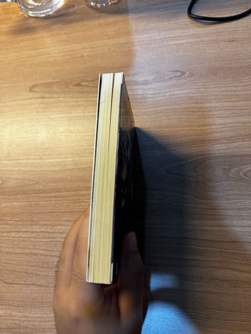 Date A Live (デート・ア・ライブ ) Light Novel Volume 11, foto 2