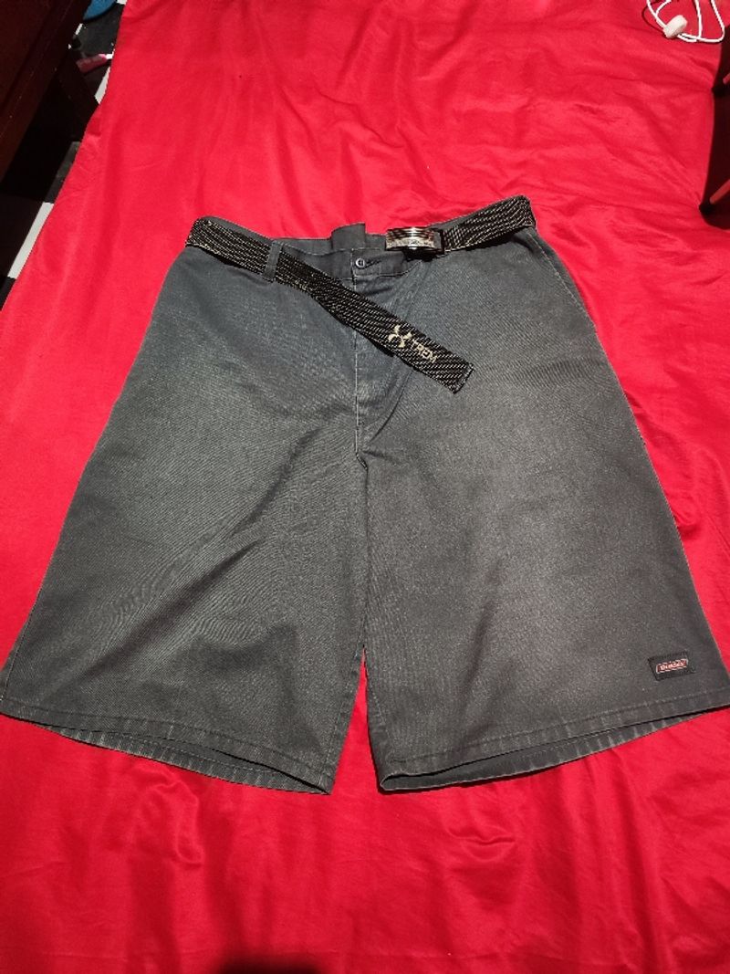 Dickies Celpo Short Grey, foto 2
