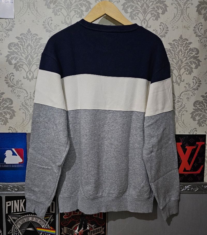 Crewneck Dickies, foto 6