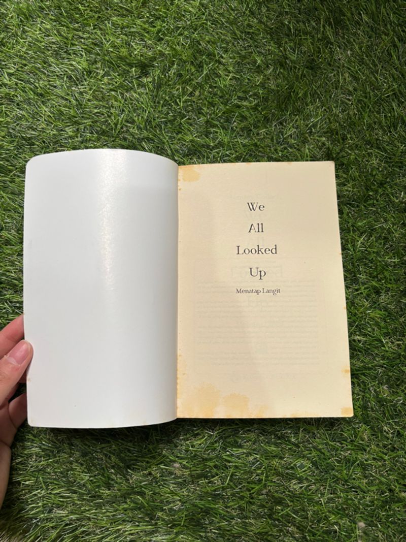 novel we all looked up, foto 5
