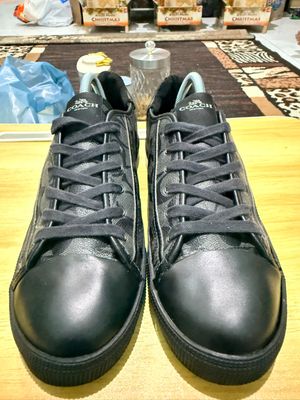 Sepatu Coach