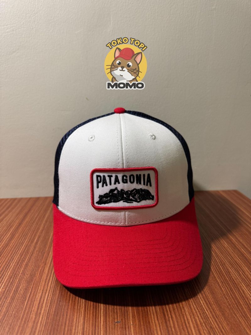 Topi Trucker Patagonia 3 Tone, foto 2