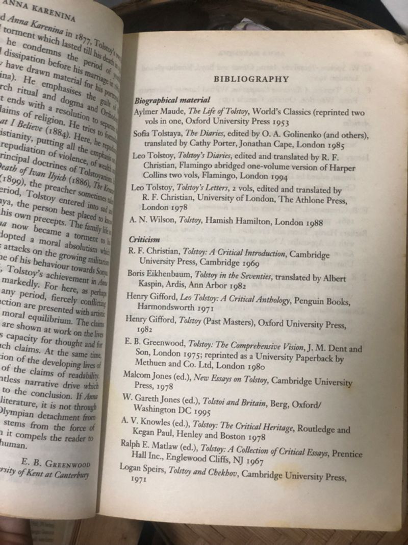 Anna Karenina by Leo Tolsoy, foto 5