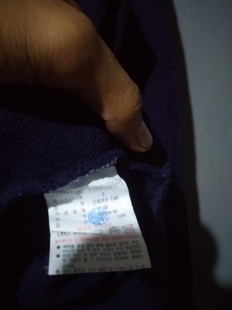 HOODIE LACOSTE, foto 3