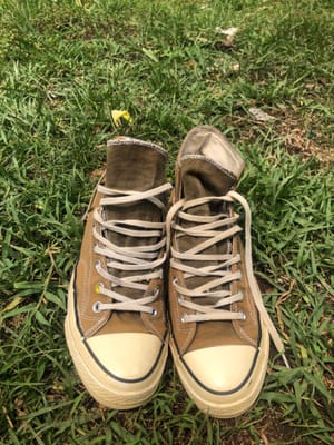 Converse Skater Sneakers Pria green
