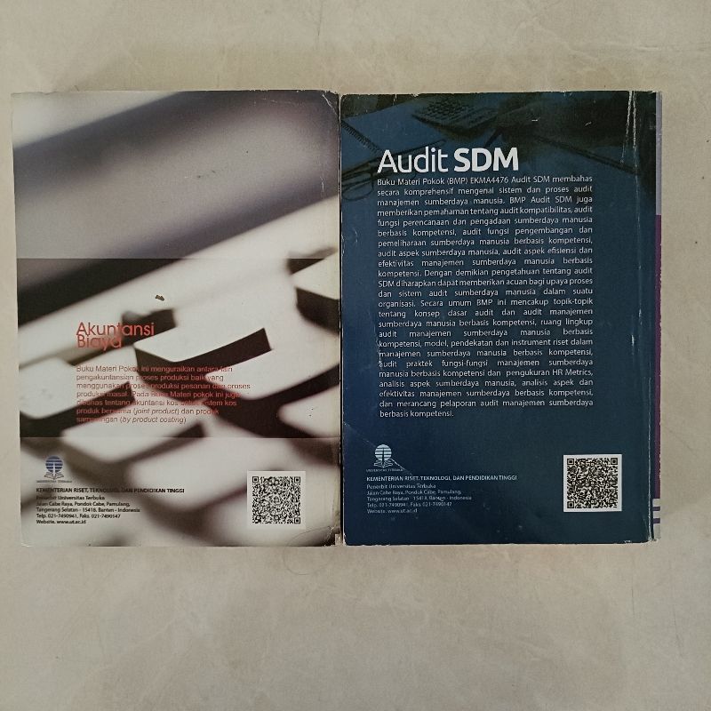 Biaya Akuntansi & Audit SDM, foto 2