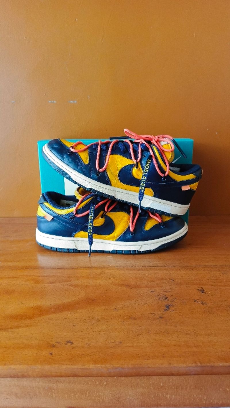 SB Dunk Low Michigan x Offwhite 43, foto 2