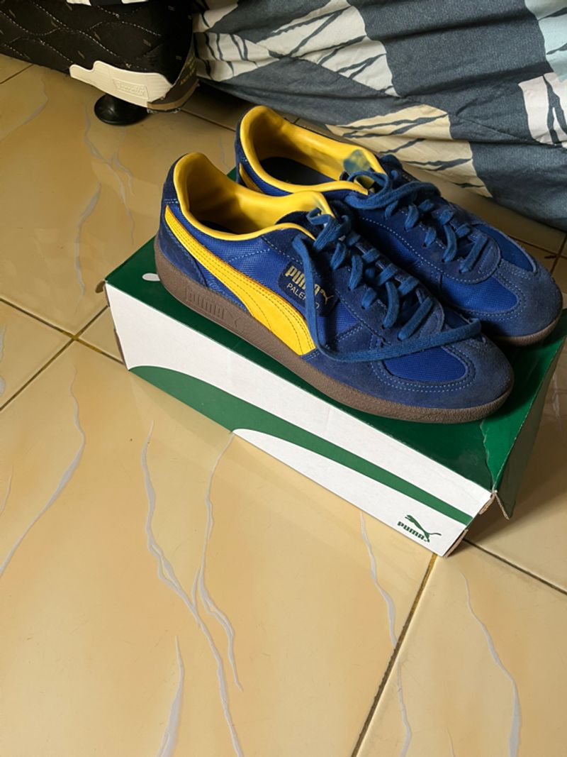 puma palermo, foto 3