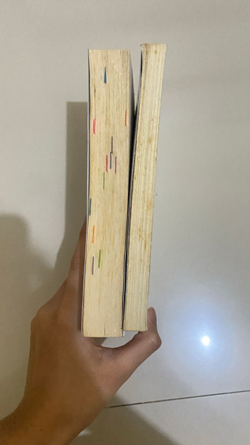 buku bacaan tere liye, risa saraswati (take all), foto 2