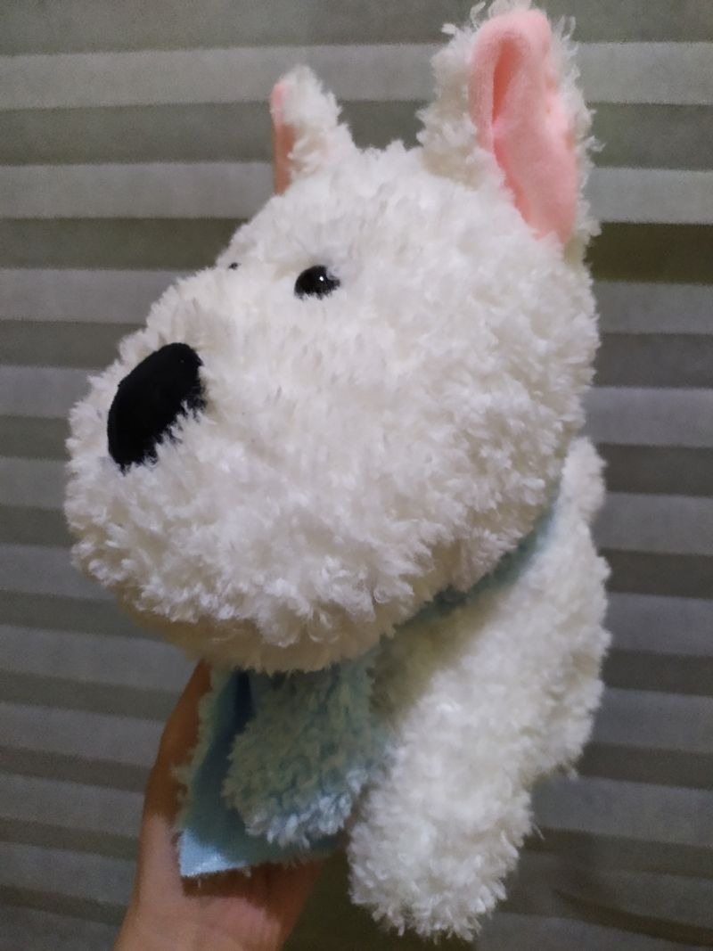Boneka Anjing / Puppy, foto 3