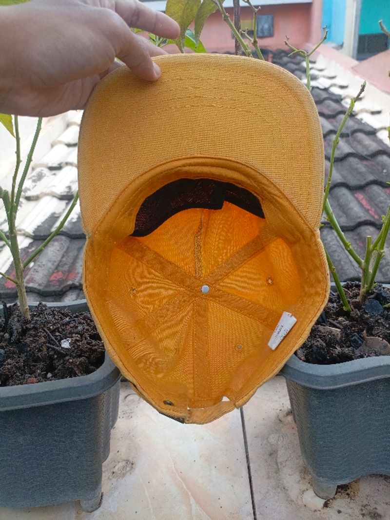 XXXX Gold Beer hat, foto 4