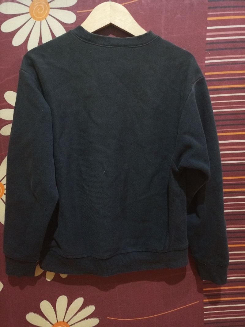 CN Carhatt American Script, foto 3