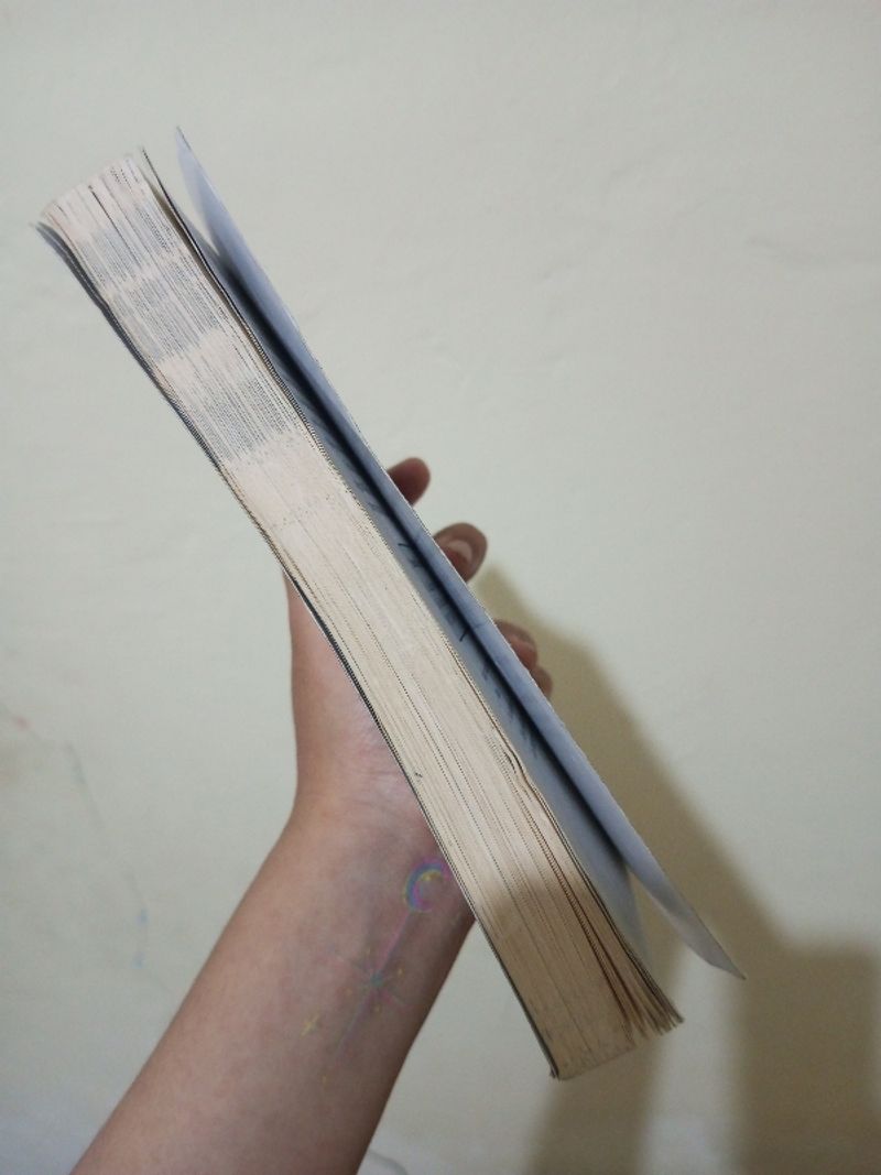 novel 7 Our Family, foto 2