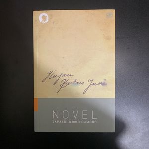 Hujan Bulan Juni Novel - Sapardi Djoko Damono
