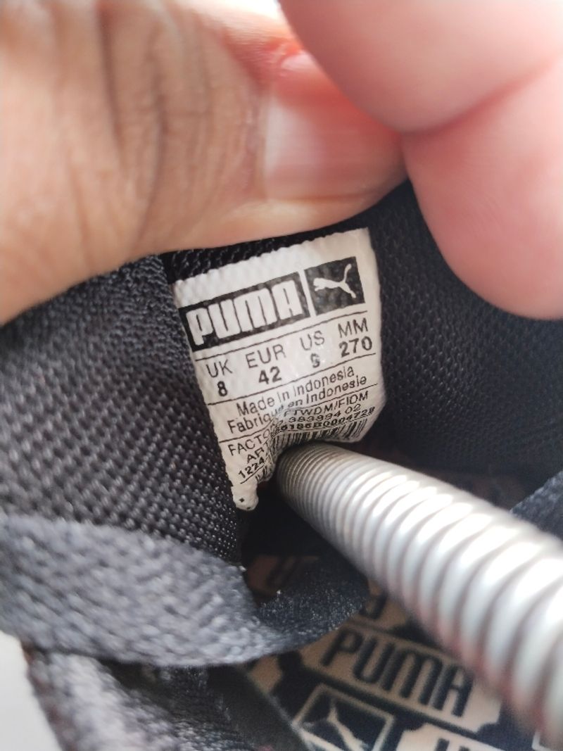puma palermo, foto 6