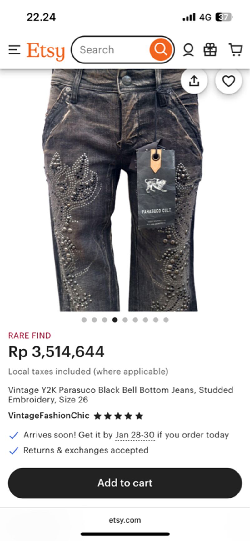 Parasuco Jeans Gothic Studded Embroidery Flared Pants, foto 8