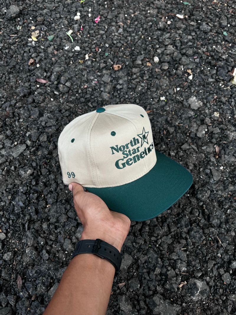 vintage two tone hat north star genetics, foto 2