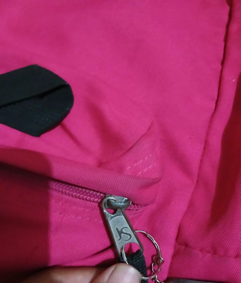 JanSport Casual Bag Pria pink, foto 4