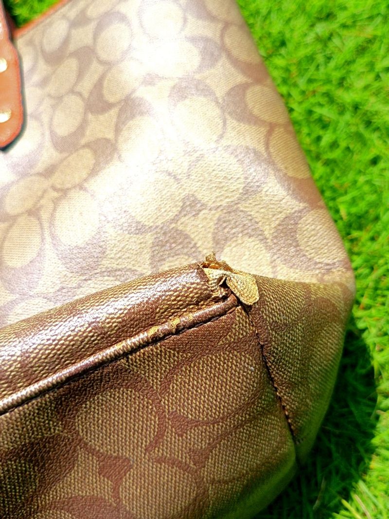 TAS JINJING COACH, foto 6