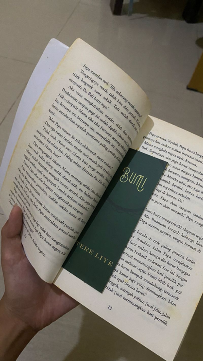 Buku Novel Bumi Tere Liye, foto 4