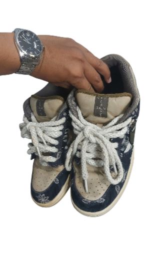 Nike Sb travis scott jack cactus seken ori