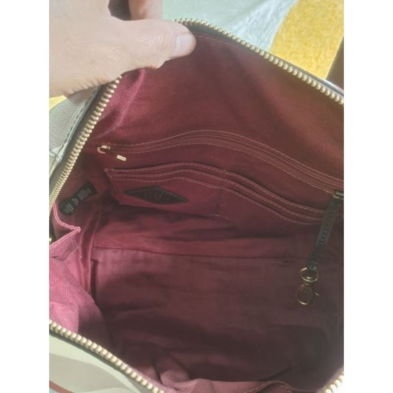 Tas fossil, foto 3